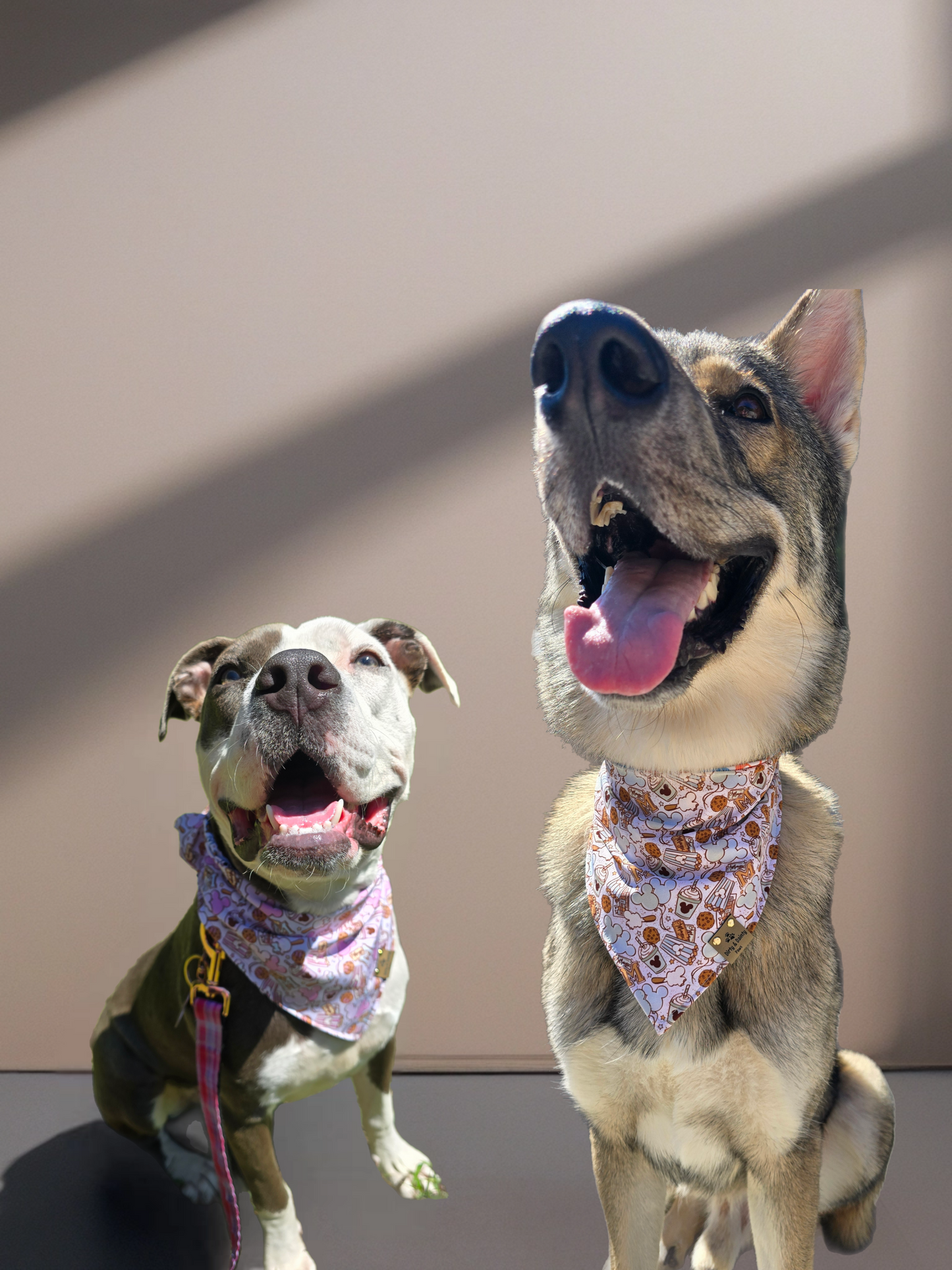 Magical Treats/ Minnie and Mickey Jack-O-Lantern Dog Bandana – Zoomie Proof| Pink or Blue | Dirty & Dainty Paws