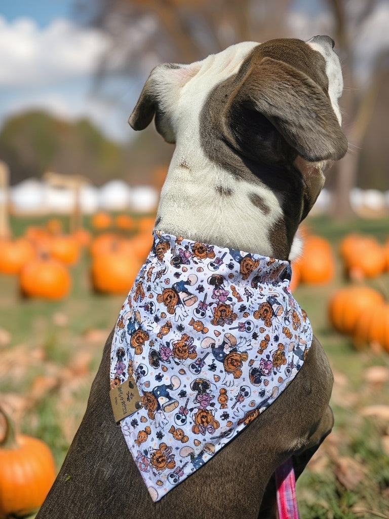 Magical Treats/ Minnie and Mickey Jack-O-Lantern Dog Bandana – Zoomie Proof| Pink or Blue | Dirty & Dainty Paws
