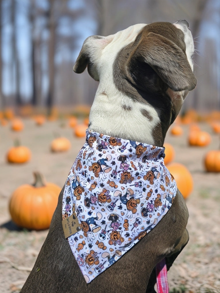 Magical Treats/ Minnie and Mickey Jack-O-Lantern Dog Bandana – Zoomie Proof| Pink or Blue | Dirty & Dainty Paws