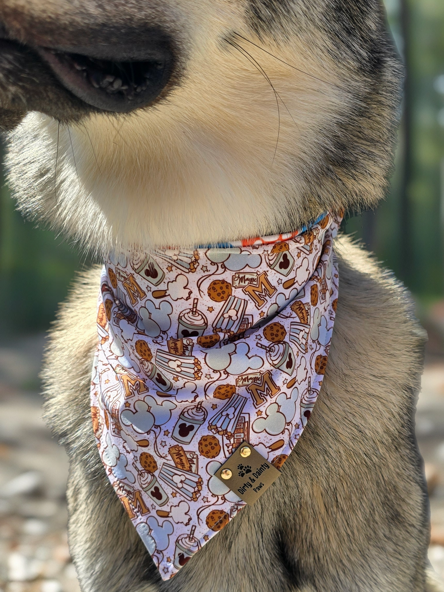 Magical Treats/ Minnie and Mickey Jack-O-Lantern Dog Bandana – Zoomie Proof| Pink or Blue | Dirty & Dainty Paws