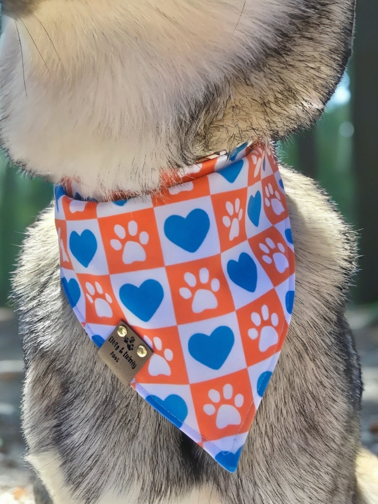 Magical Treats/ Minnie and Mickey Jack-O-Lantern Dog Bandana – Zoomie Proof| Pink or Blue | Dirty & Dainty Paws