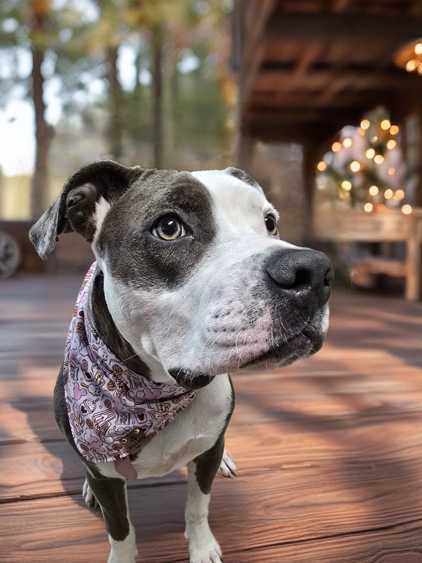 Magical Treats/ Minnie and Mickey Jack-O-Lantern Dog Bandana – Zoomie Proof| Pink or Blue | Dirty & Dainty Paws