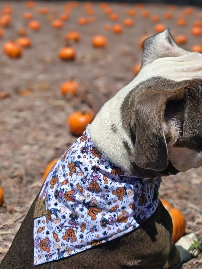Magical Treats/ Minnie and Mickey Jack-O-Lantern Dog Bandana – Zoomie Proof| Pink or Blue | Dirty & Dainty Paws