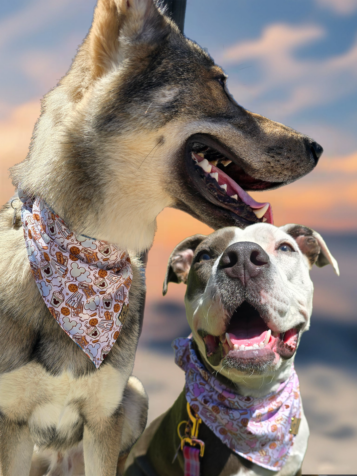 Magical Treats/ Minnie and Mickey Jack-O-Lantern Dog Bandana – Zoomie Proof| Pink or Blue | Dirty & Dainty Paws