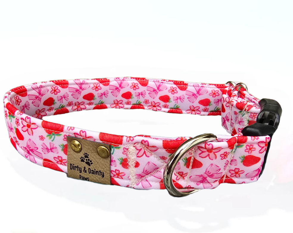 Strawberries and Bows Neoprene Dog Collar – Soft, Durable & Stylish