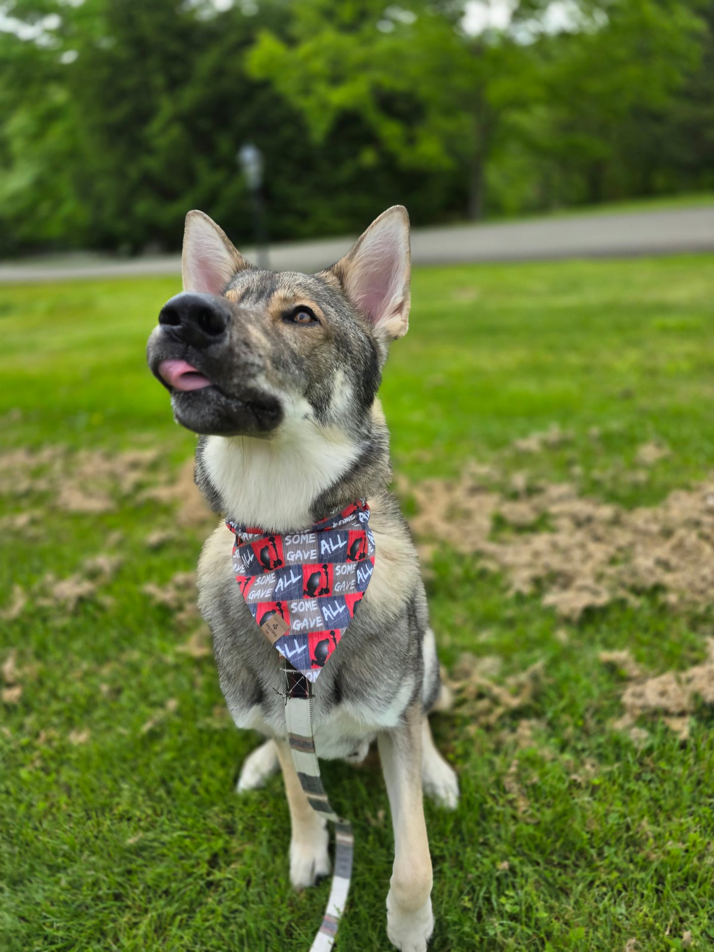 FUNDRAISER For Warrior Dog Foundation! Some Gave All/Soldiers Reversible Bandana