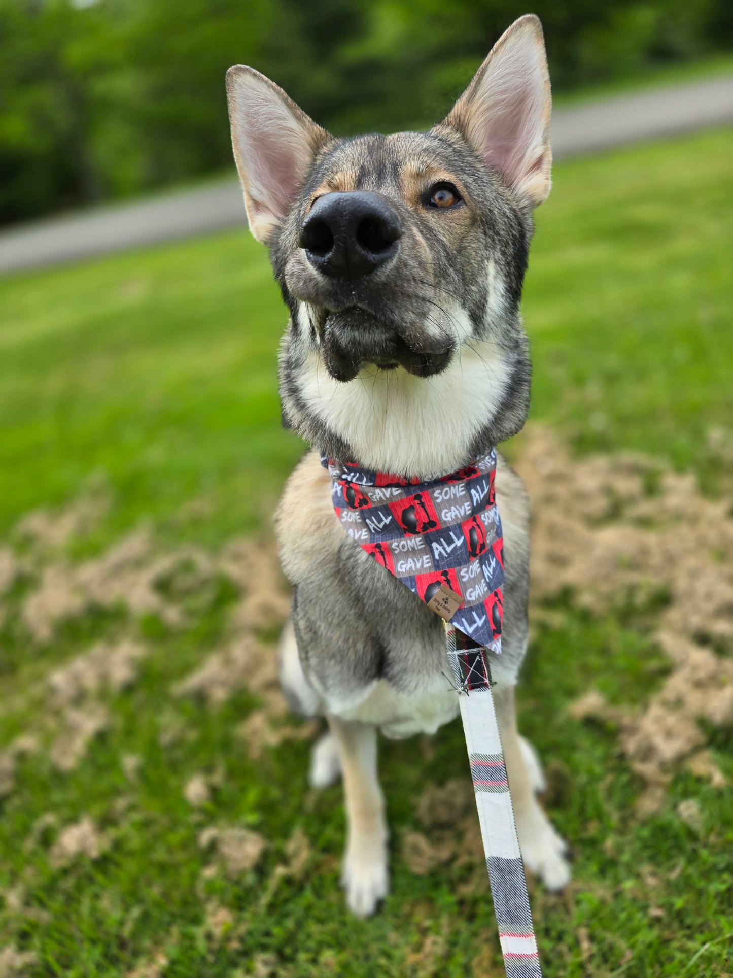 FUNDRAISER For Warrior Dog Foundation! Some Gave All/Soldiers Reversible Bandana
