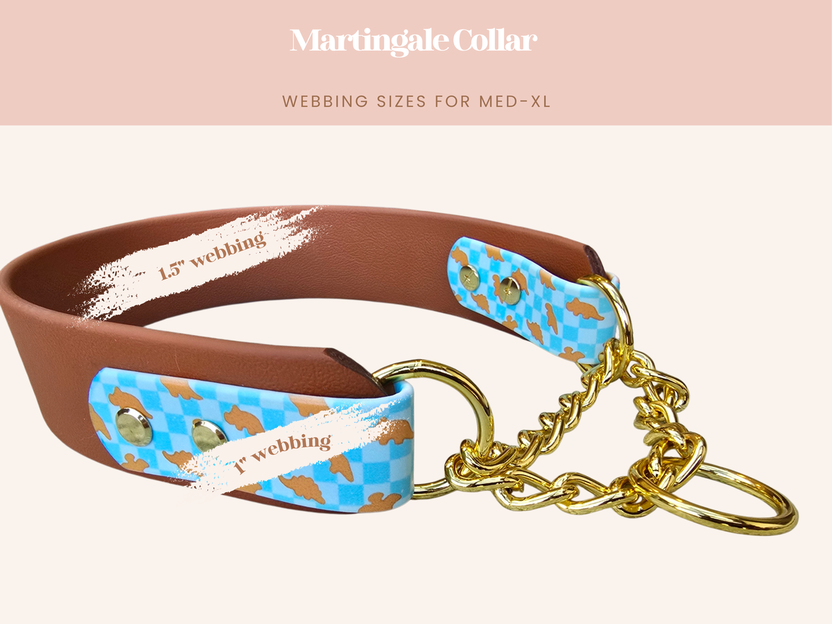 Ghost Garden Double Layer Biothane Dog Collar – Waterproof Stinkproof