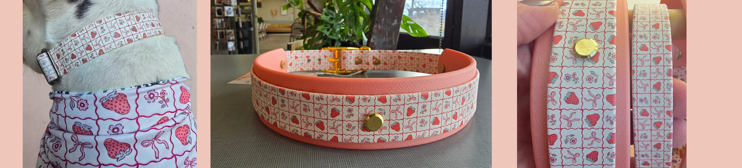 Strawberries & Bows Double Layer Biothane Dog Collar – Waterproof Stinkproof