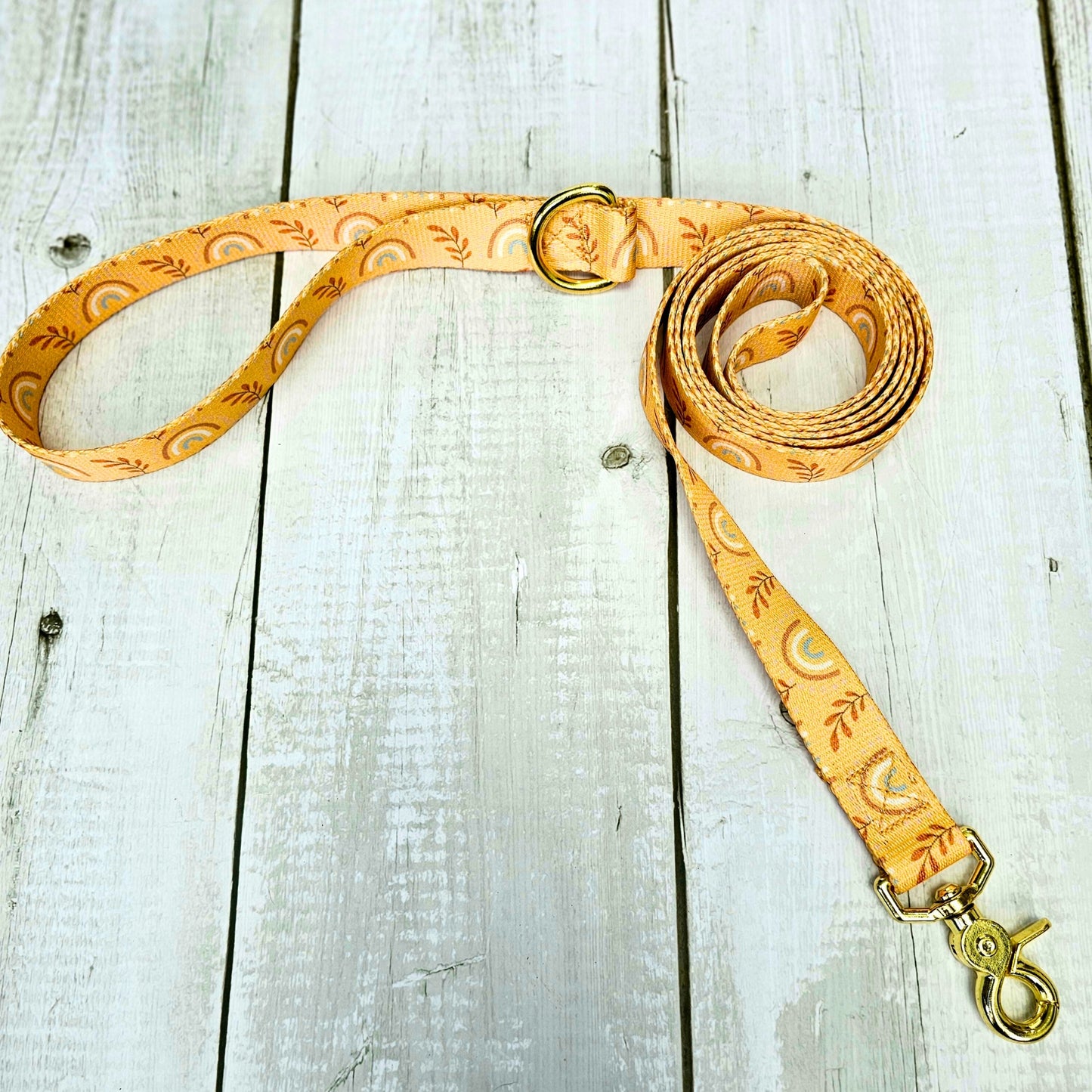 Boho Rainbow Leash 6 ft