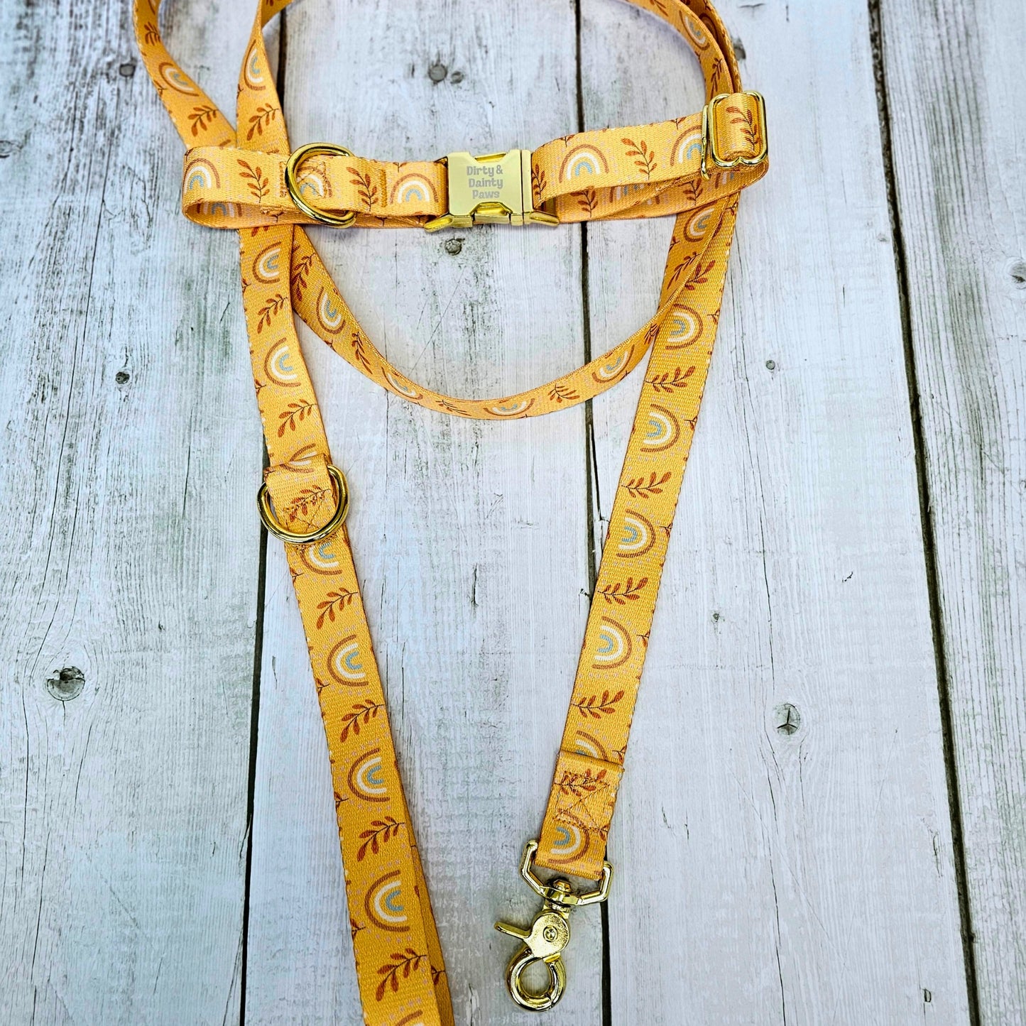 Boho Rainbow Leash 6 ft