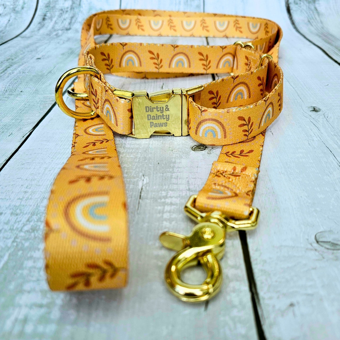 Boho Rainbow Leash 6 ft
