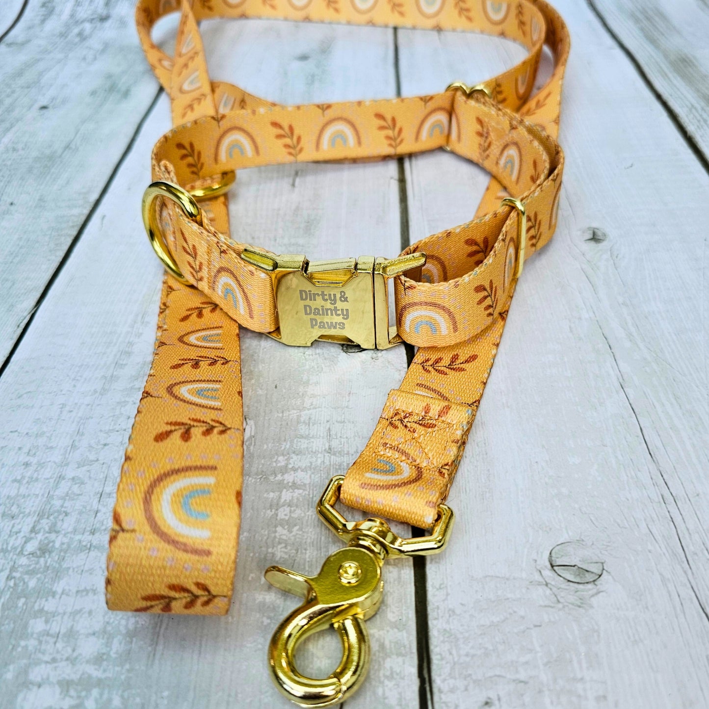 Boho Rainbow Leash 6 ft