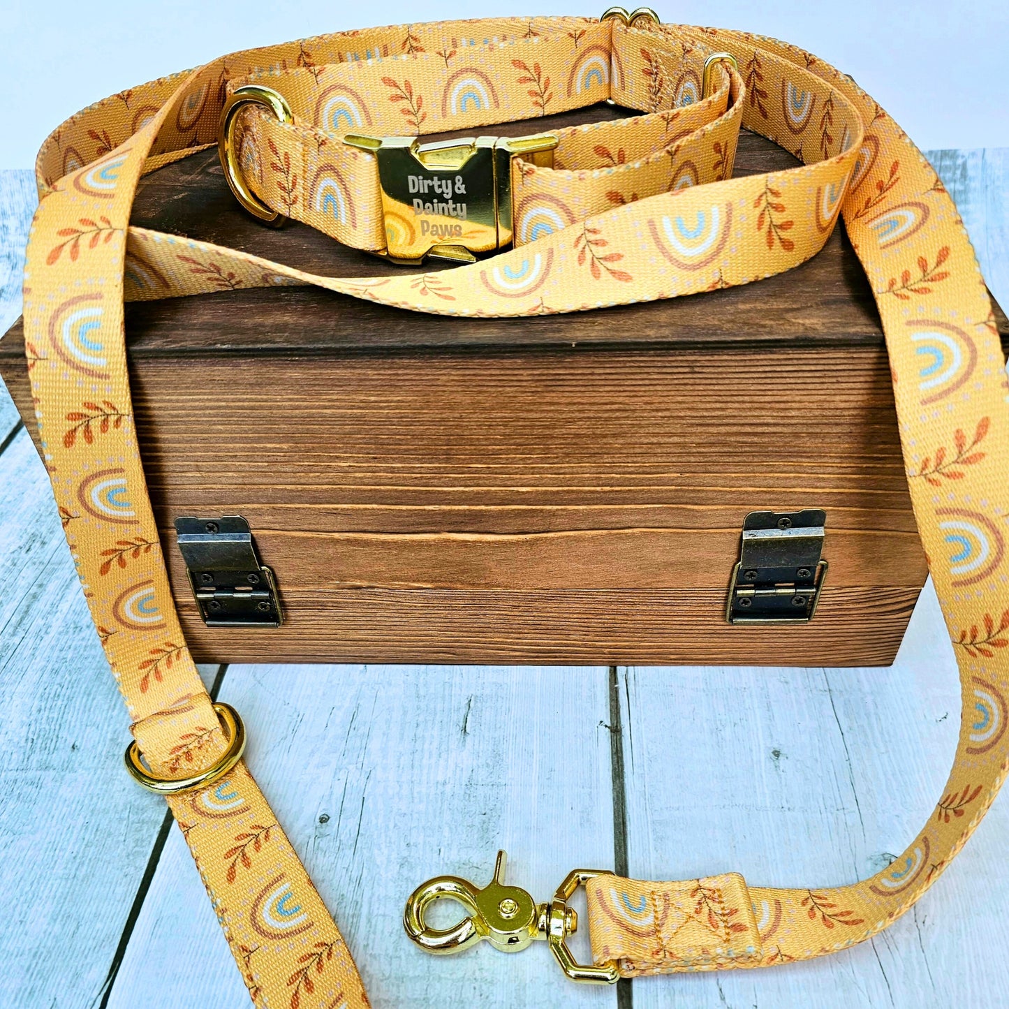 Boho Rainbow Leash 6 ft