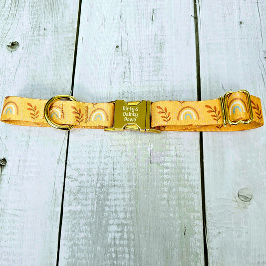 Boho Rainbows Fall Dog Collar Durable