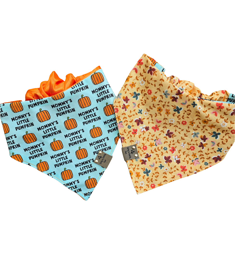 Mommy's Little Pumpkin|Cutest Little Pumpkin|Fall Floral Cozy Cotton Reversible Scrunchie Dog Bandana
