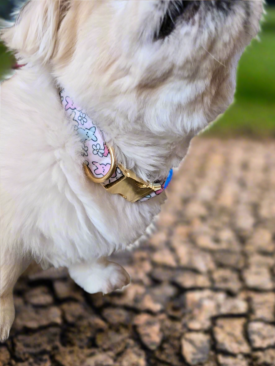 Easter Peeps Neoprene Dog Collar | Adjustable & Comfortable Spring Pet Accessory