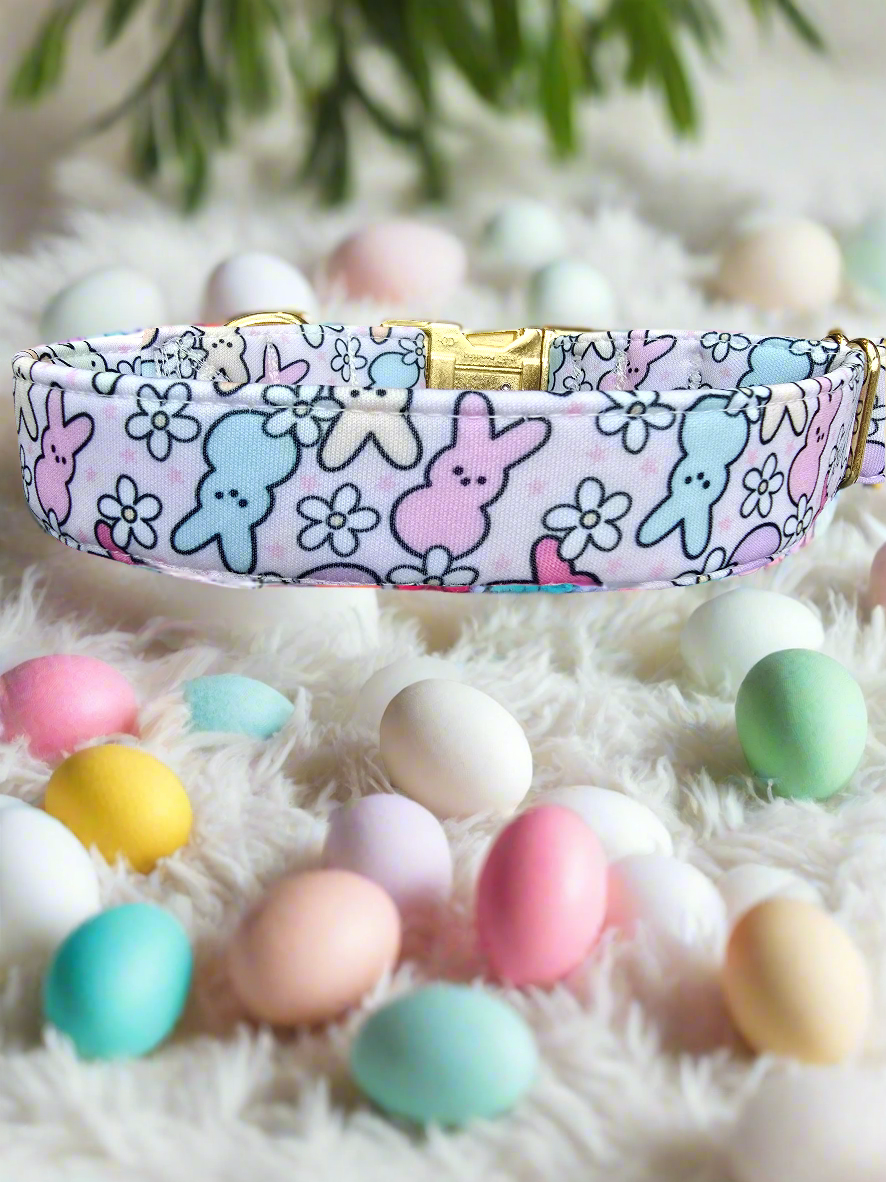 Easter Peeps Neoprene Dog Collar | Adjustable & Comfortable Spring Pet Accessory