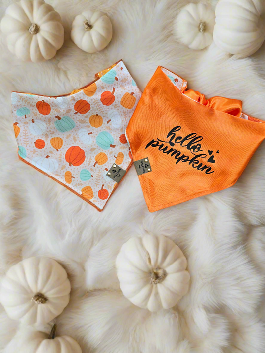 Boho Pumpkins| Hello Pumpkin| Dots| Cozy Cotton Reversible Scrunchie Dog Bandana