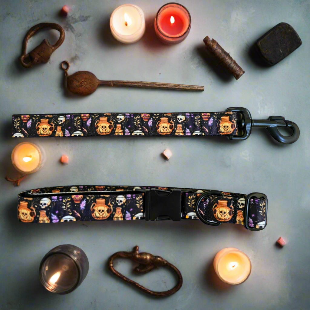 Skulls and Potions Dog Collar