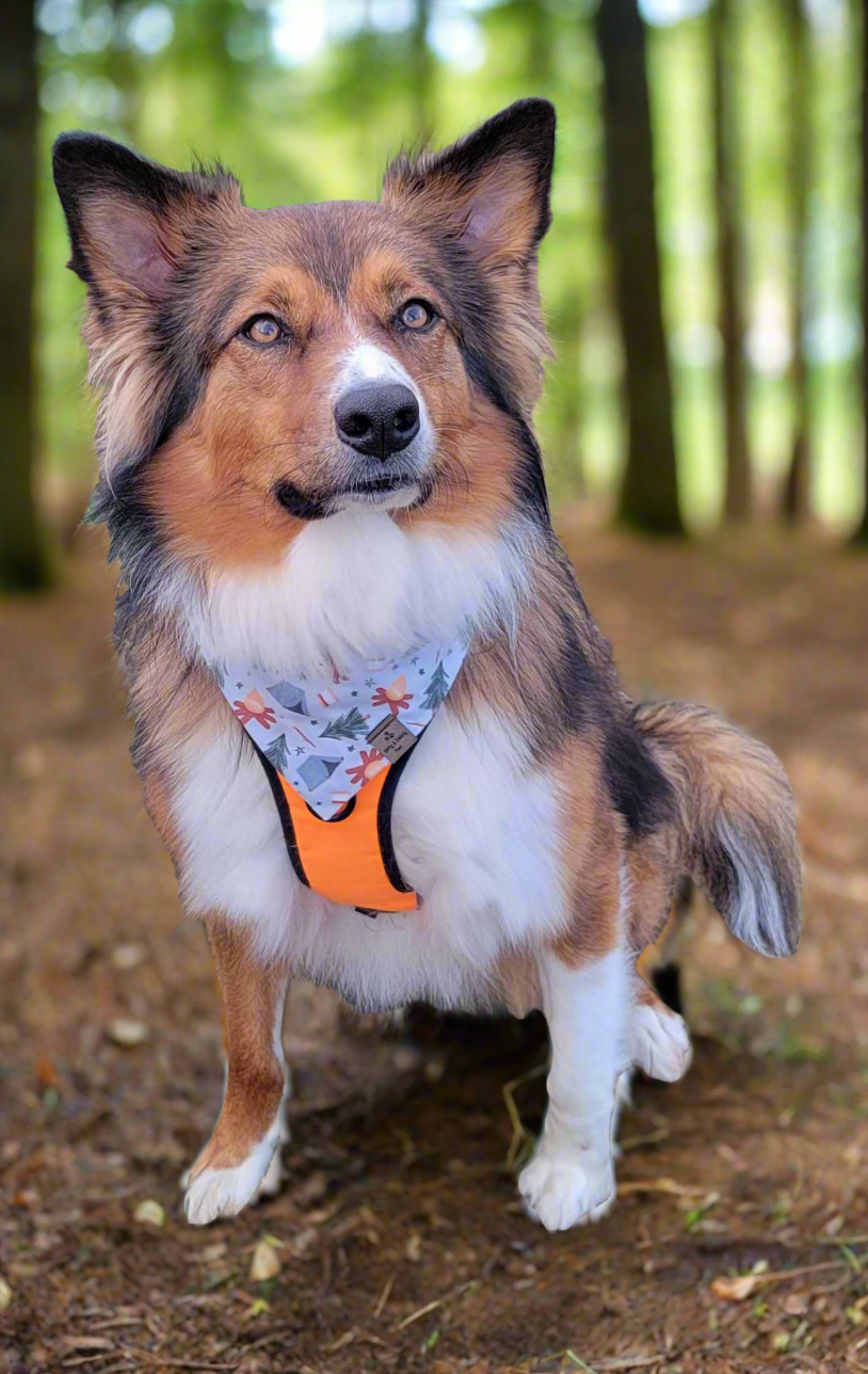 Camping Adventure/Pick your second fabric Reversible Dog Bandana