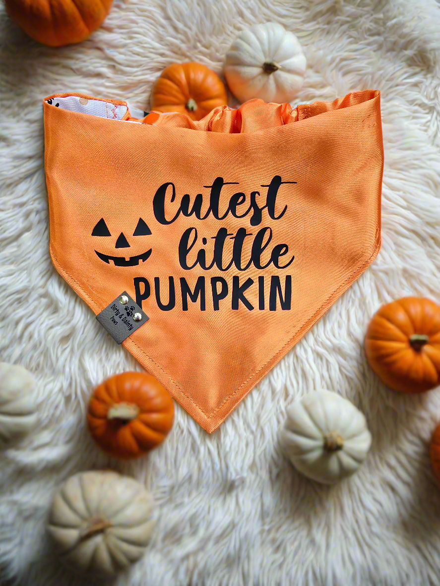 I Do Tricks For Treats| Cutest Little Pumpkin Cozy Cotton Reversible Scrunchie Dog Bandana
