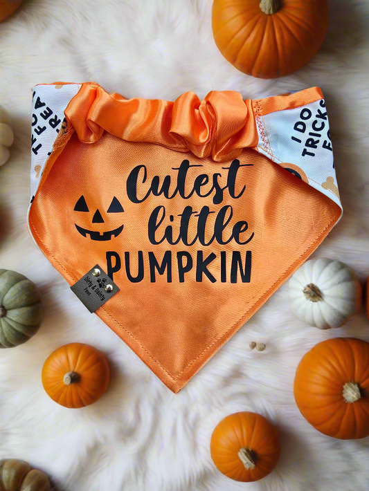 I Do Tricks For Treats| Cutest Little Pumpkin Cozy Cotton Reversible Scrunchie Dog Bandana