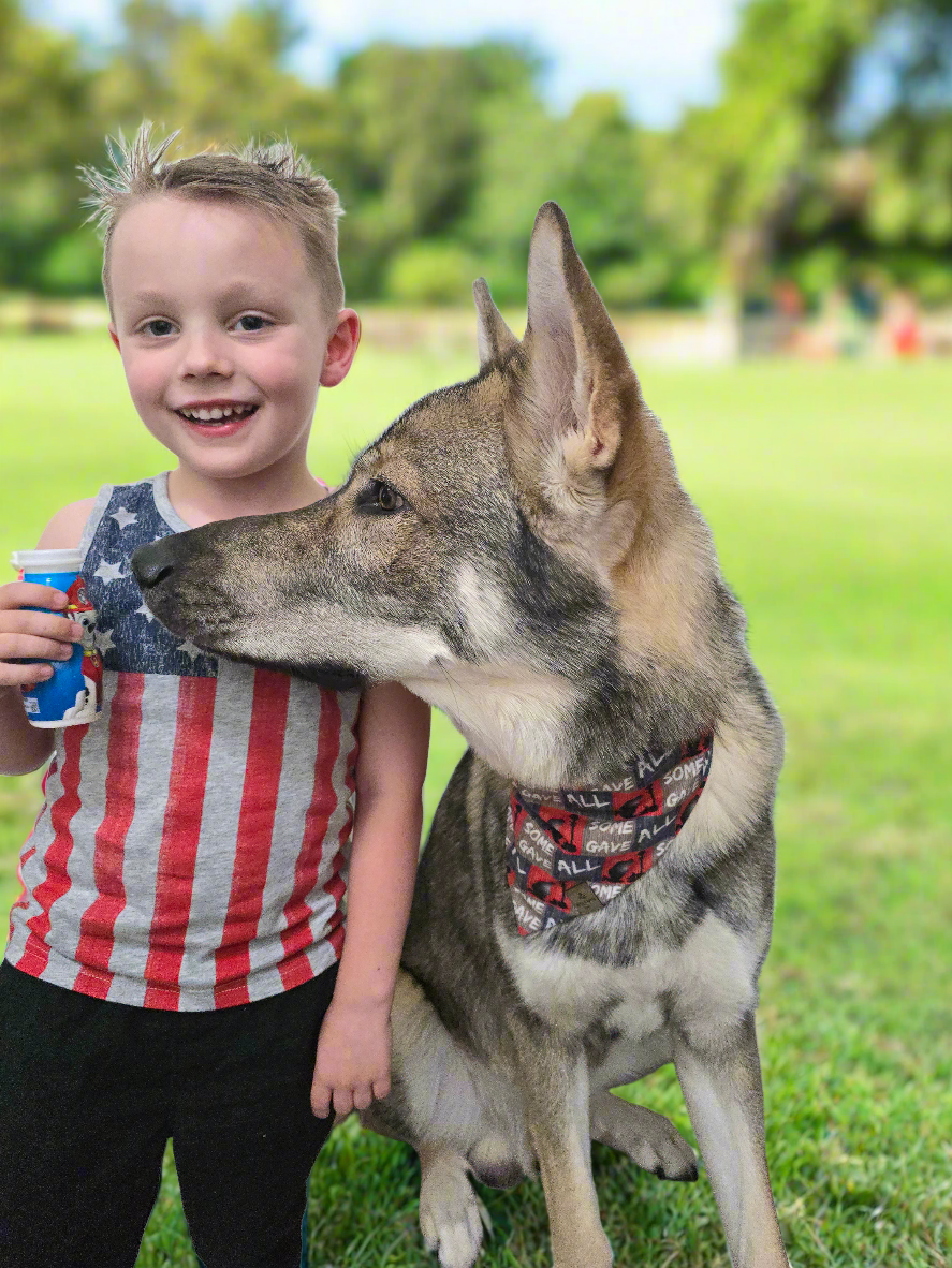 FUNDRAISER For Warrior Dog Foundation! Some Gave All/Soldiers Reversible Bandana