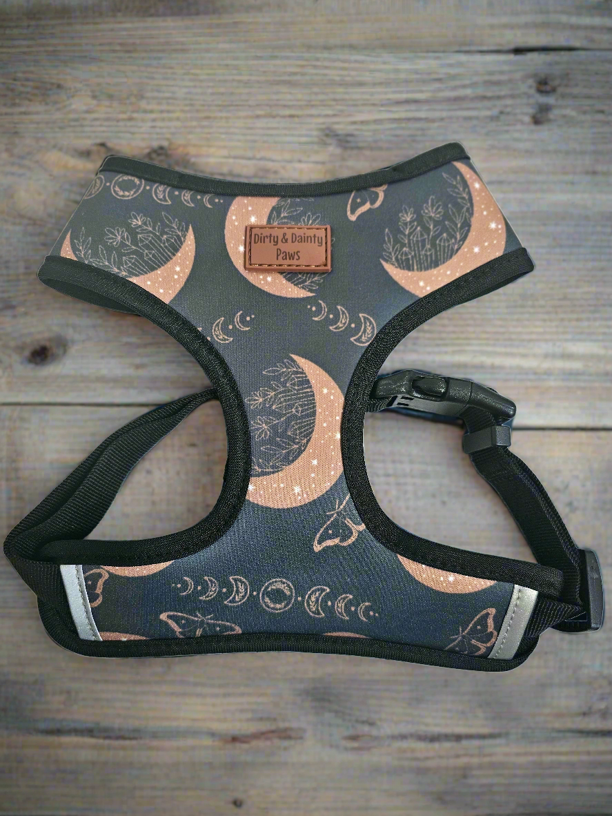 Boho Nights Collection Bundle- Collar, Leash, Harness, Poop Bag Holder- Save AND get a FREE Poop Loop and Easy tie bandana