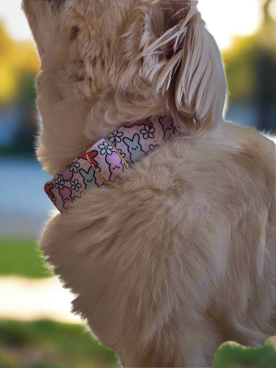 Easter Peeps Neoprene Dog Collar | Adjustable & Comfortable Spring Pet Accessory