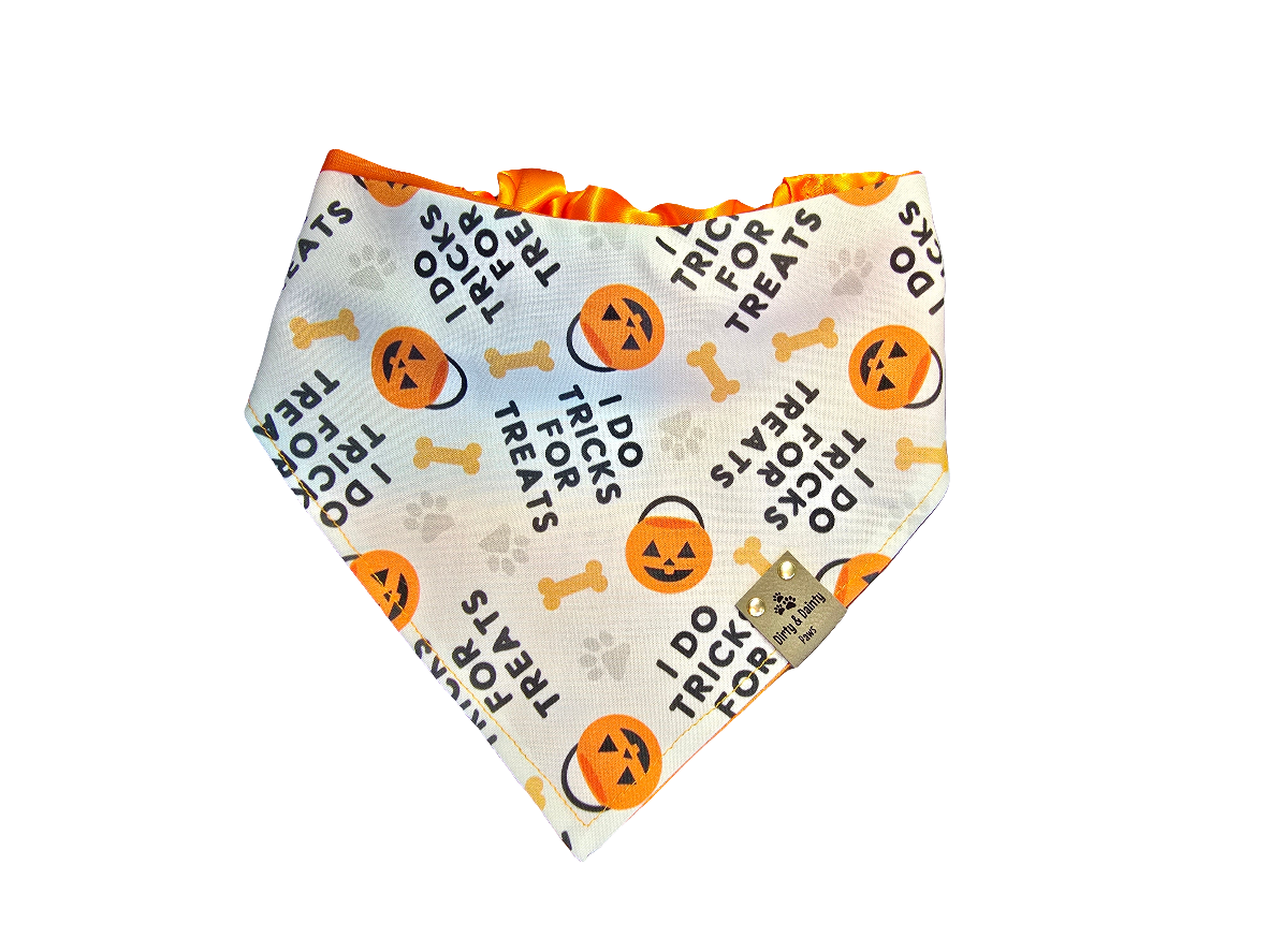 I Do Tricks For Treats| Cutest Little Pumpkin Cozy Cotton Reversible Scrunchie Dog Bandana