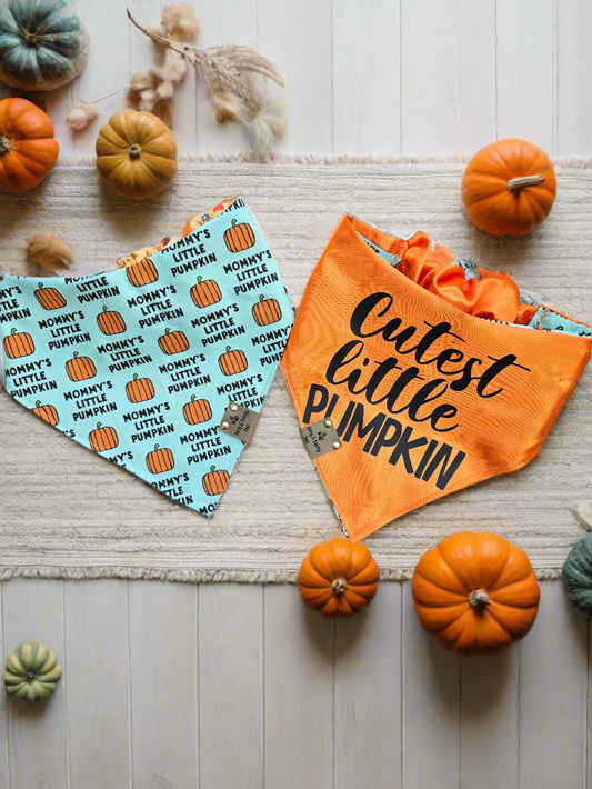 Mommy's Little Pumpkin|Cutest Little Pumpkin|Fall Floral Cozy Cotton Reversible Scrunchie Dog Bandana