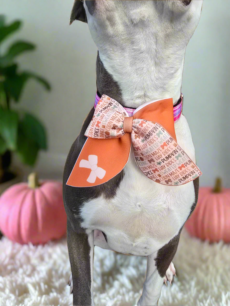 Mini neoprene sailor bows