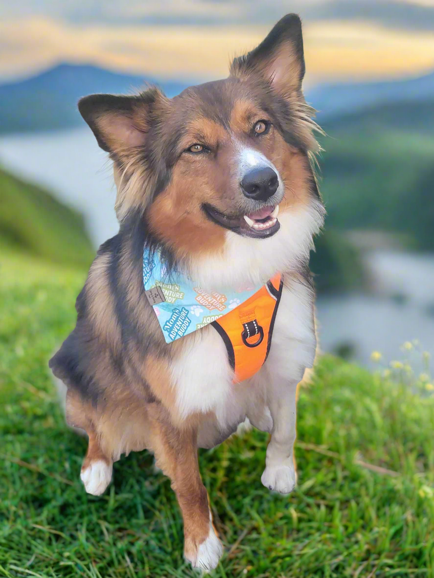 Camping Adventure/Pick your second fabric Reversible Dog Bandana