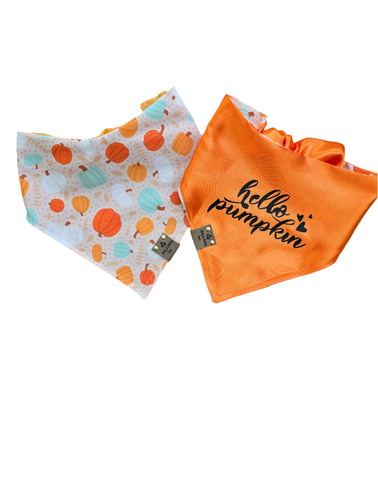 Boho Pumpkins| Hello Pumpkin| Dots| Cozy Cotton Reversible Scrunchie Dog Bandana