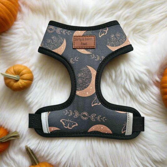 Dog harness with celestial pattern on a fluffy white surface with pumpkins around