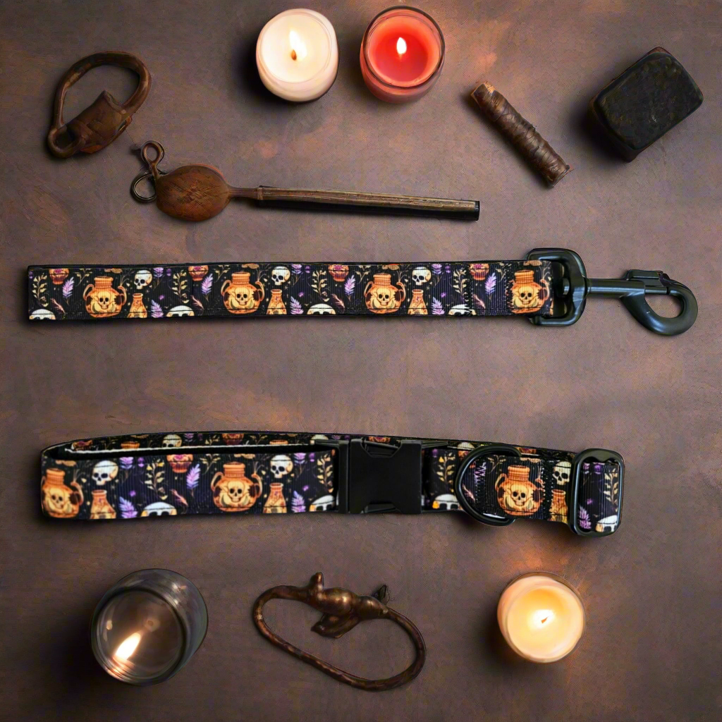 Skulls and Potions Dog Collar