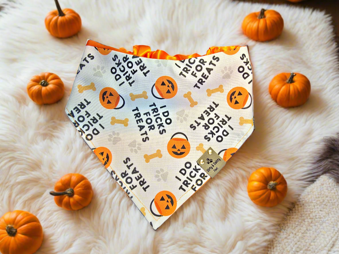 I Do Tricks For Treats| Cutest Little Pumpkin Cozy Cotton Reversible Scrunchie Dog Bandana