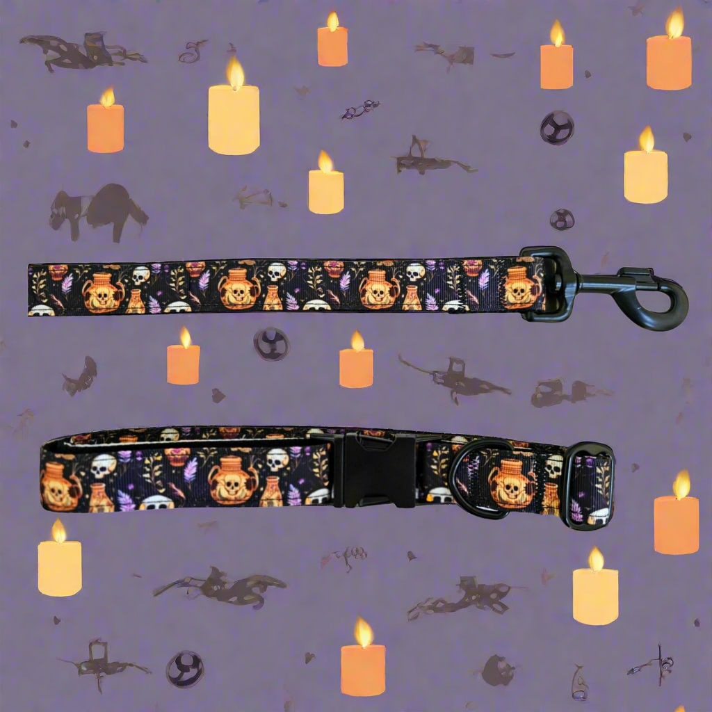 Skulls and Potions Dog Collar