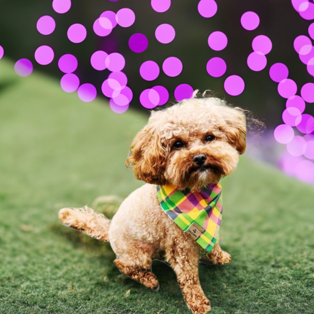 Mardi Gras Reversible Scrunchie Dog Bandana