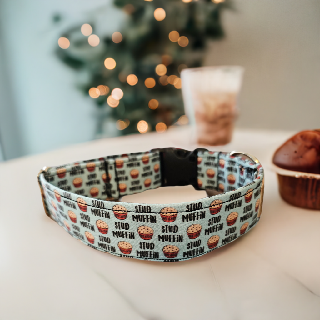Stud Muffin Dog Collar