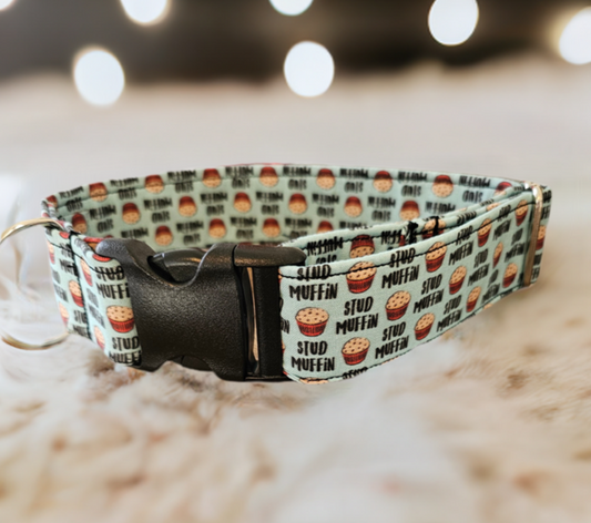 Stud Muffin Dog Collar
