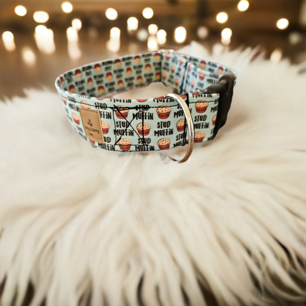 Stud Muffin Dog Collar