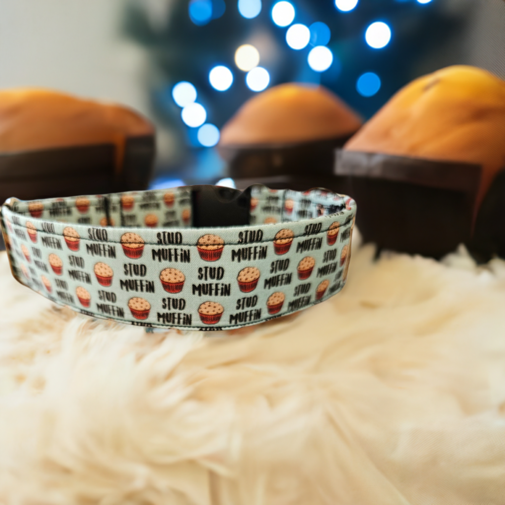 Stud Muffin Dog Collar