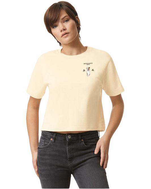 Dragons, Dogs and Chill Boxy Tshirt