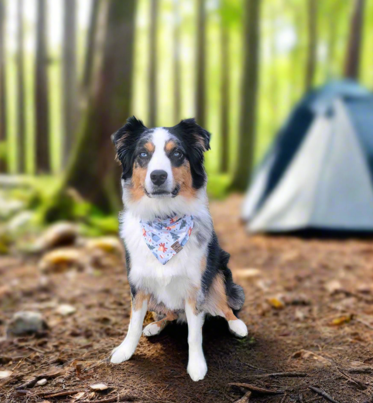 Camping Adventure/Pick your second fabric Reversible Dog Bandana