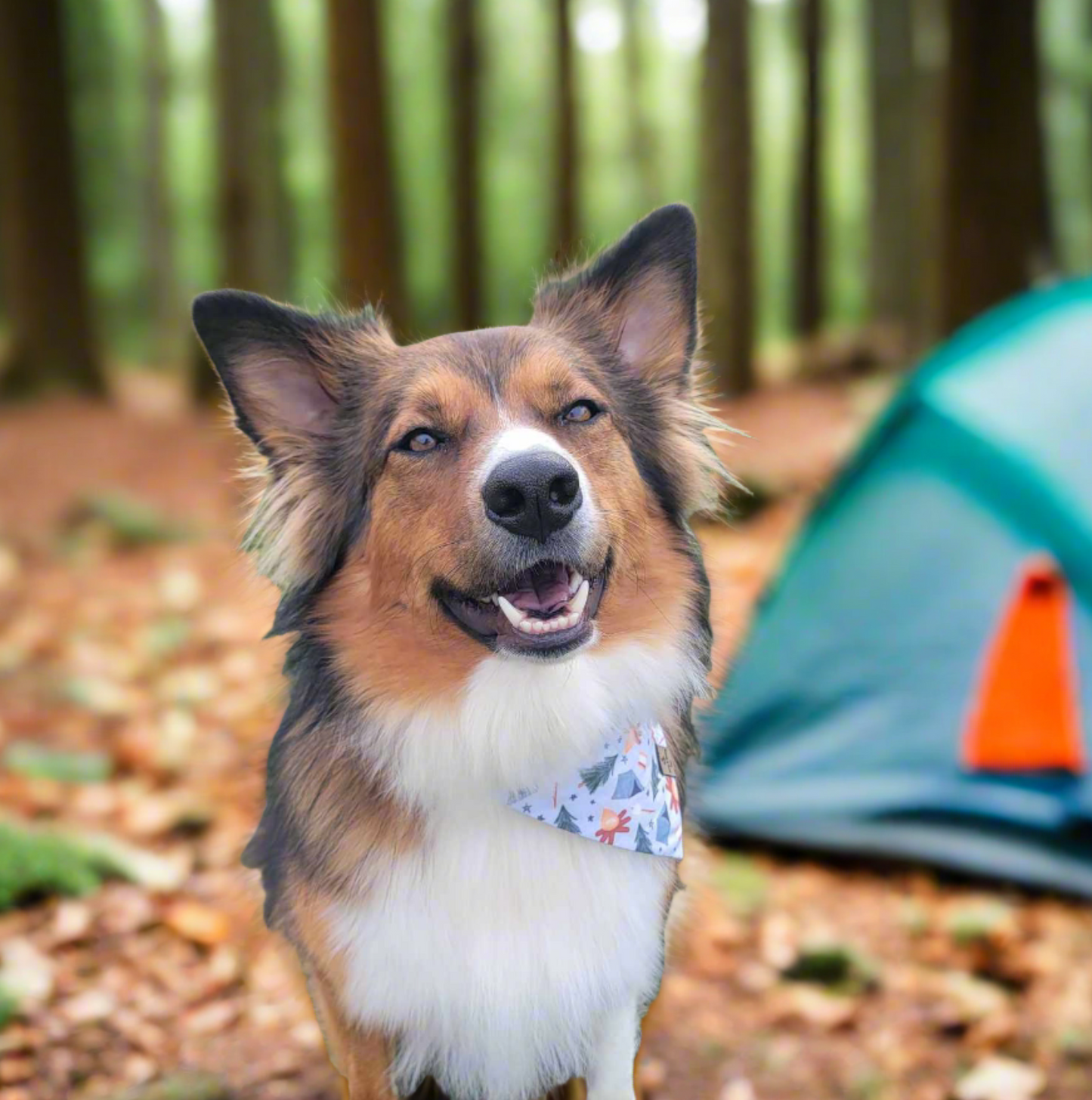 Camping Adventure/Pick your second fabric Reversible Dog Bandana