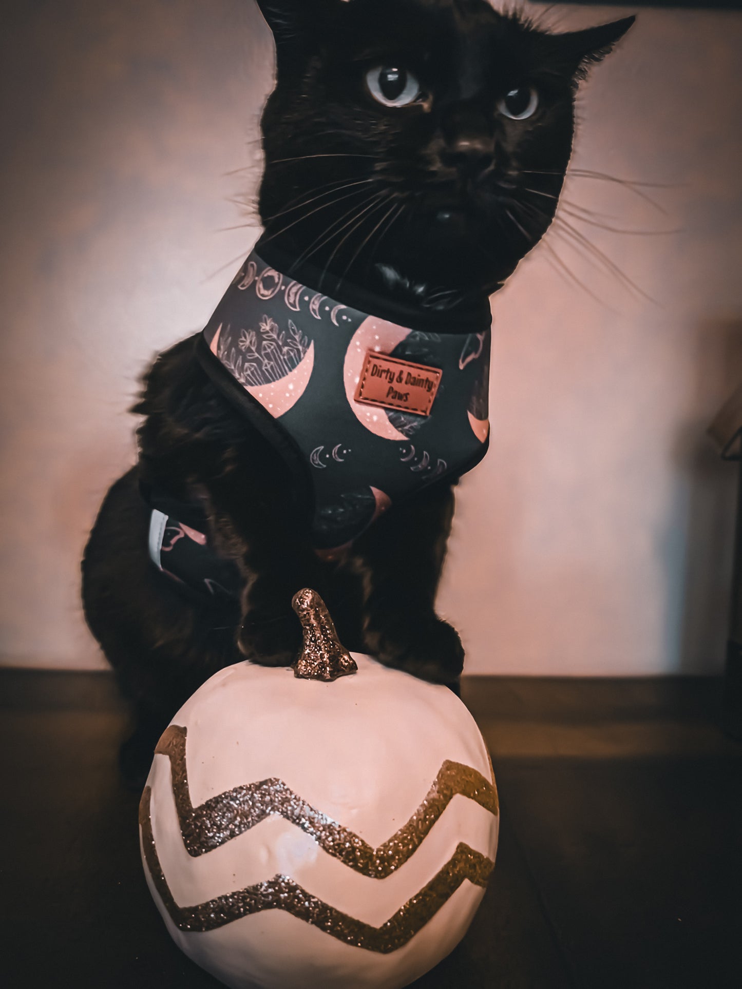 Boho Nights Collection Bundle- Collar, Leash, Harness, Poop Bag Holder- Save AND get a FREE Poop Loop and Easy tie bandana