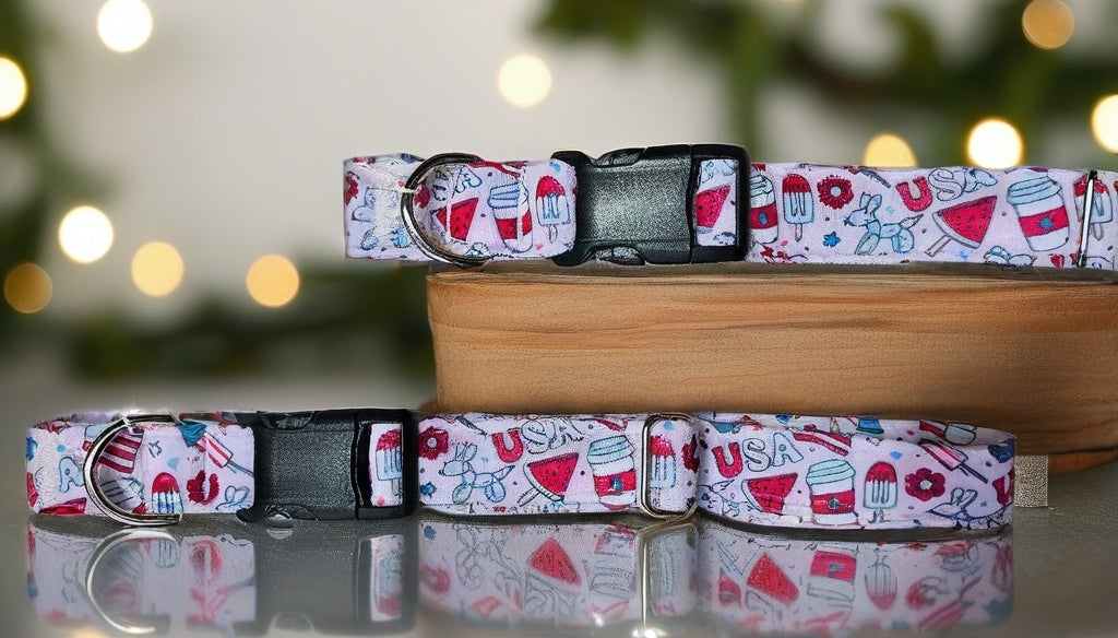 Pawty In The USA| Patriotic USA Neoprene Dog Collar – 4th of July Summer Dog Collar