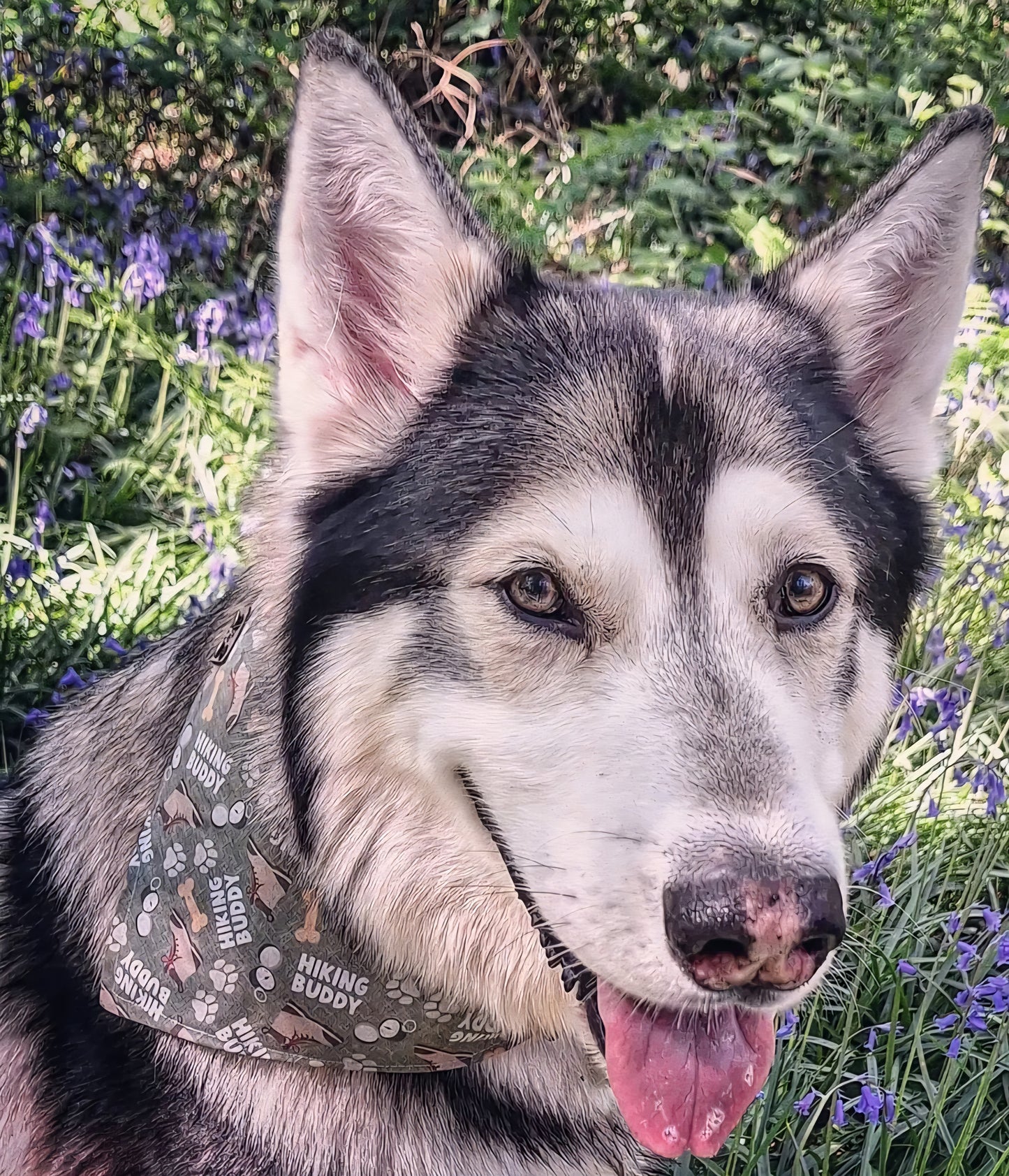 Hiking Buddy/Woodland Animals Reversible Scrunchie Dog Bandana